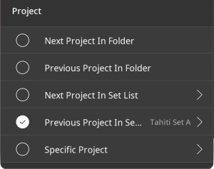 The lower part of the Load Project action panel.